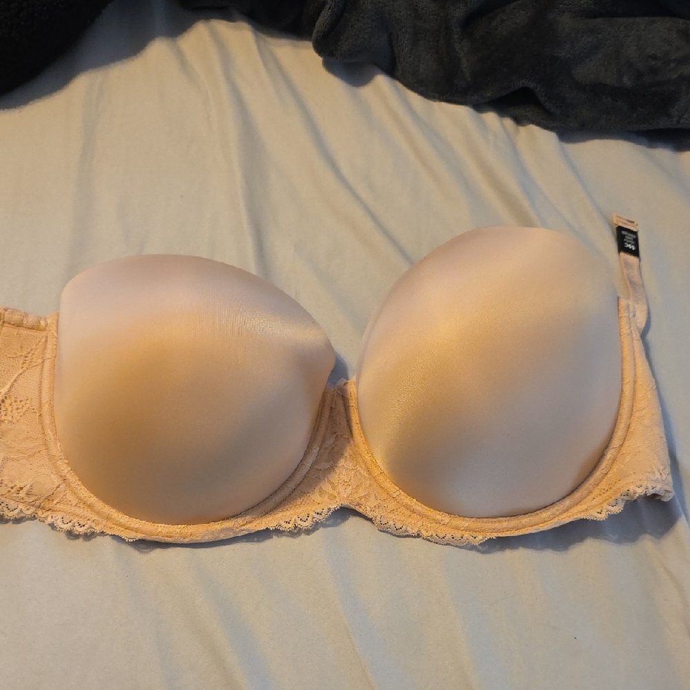 Torrid Chic Strapless Lace Bra in Cream